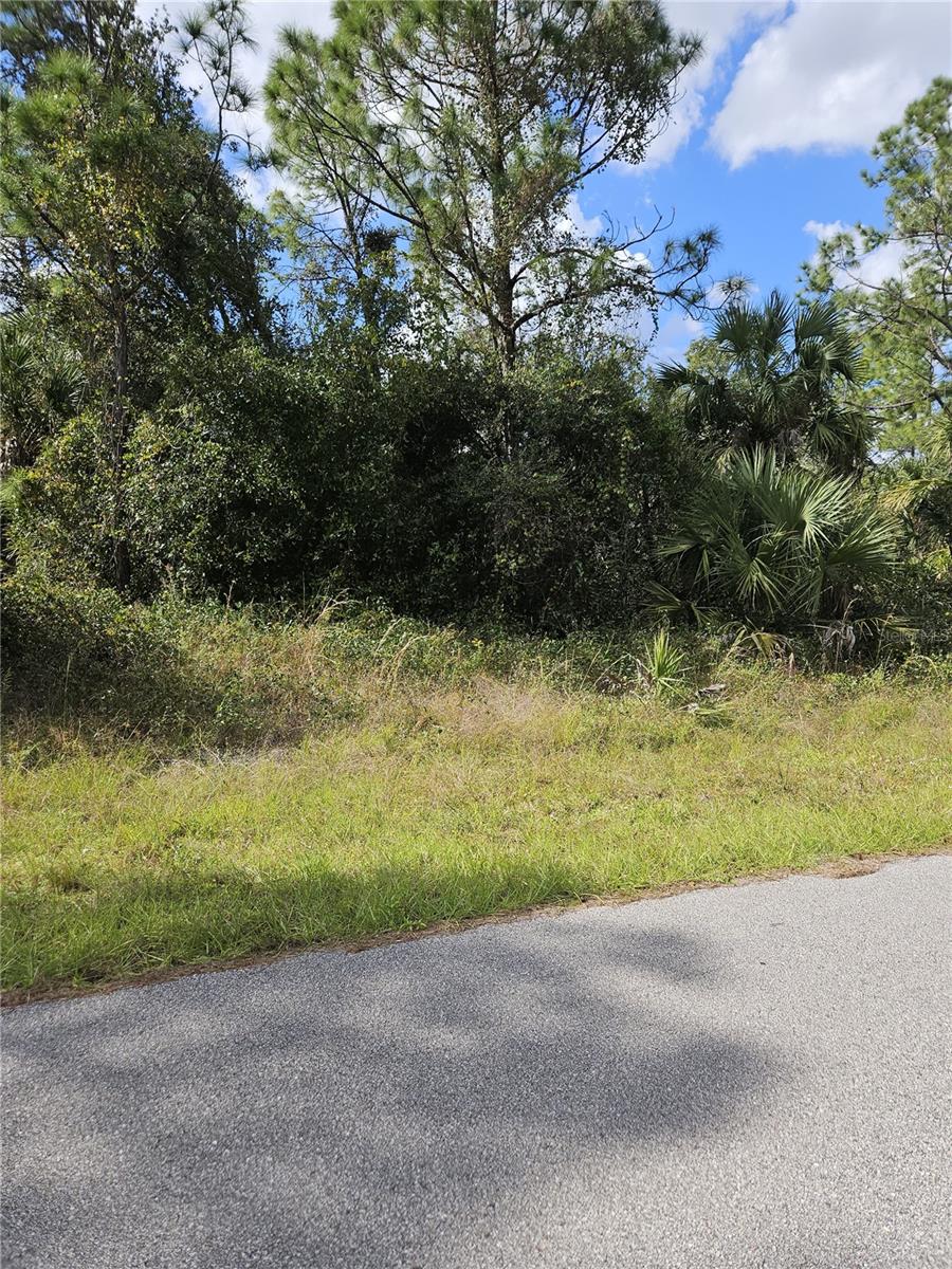 Lot 29 RUSSELLVILLE ST