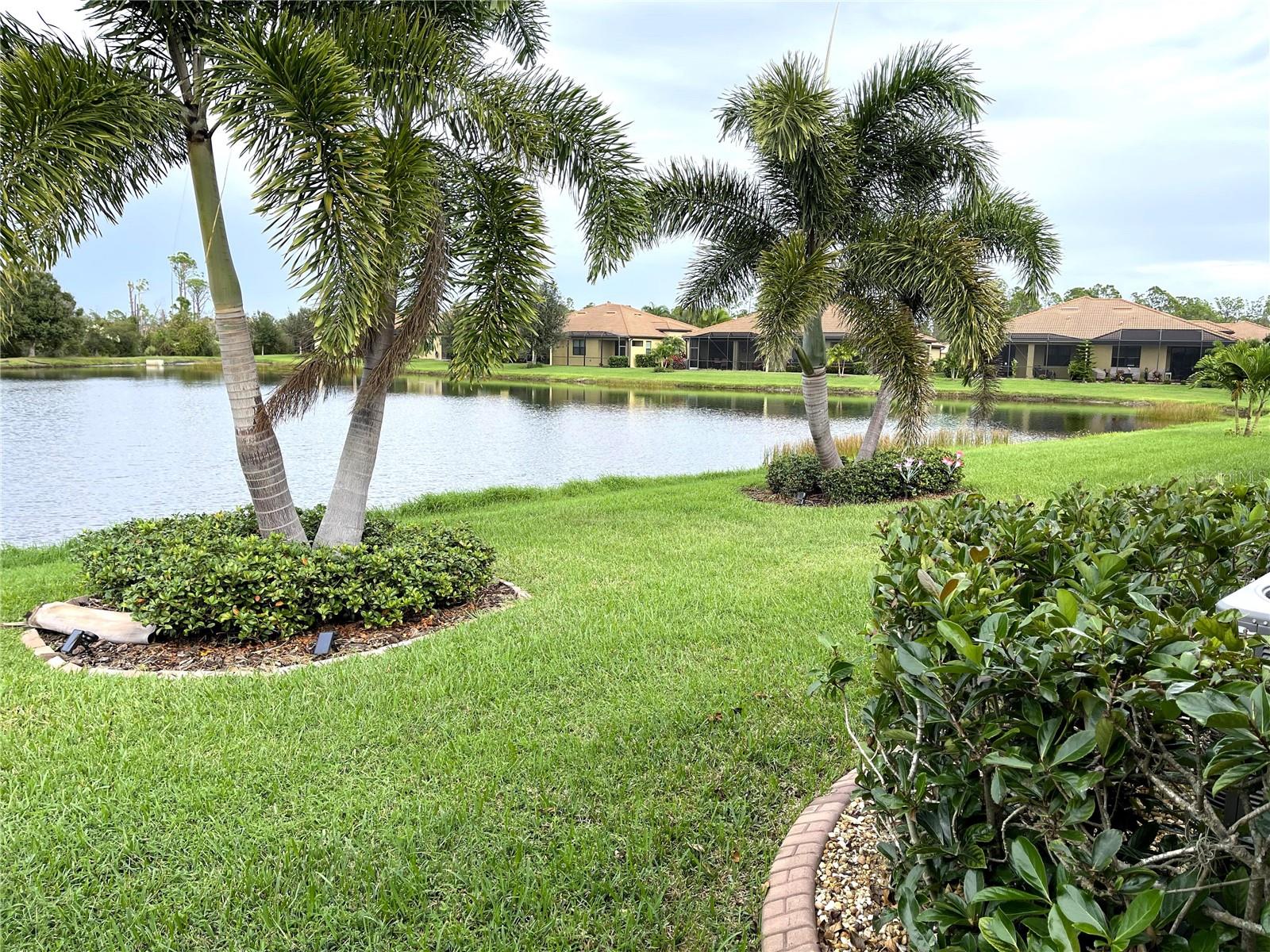 2845 ARUGULA DR