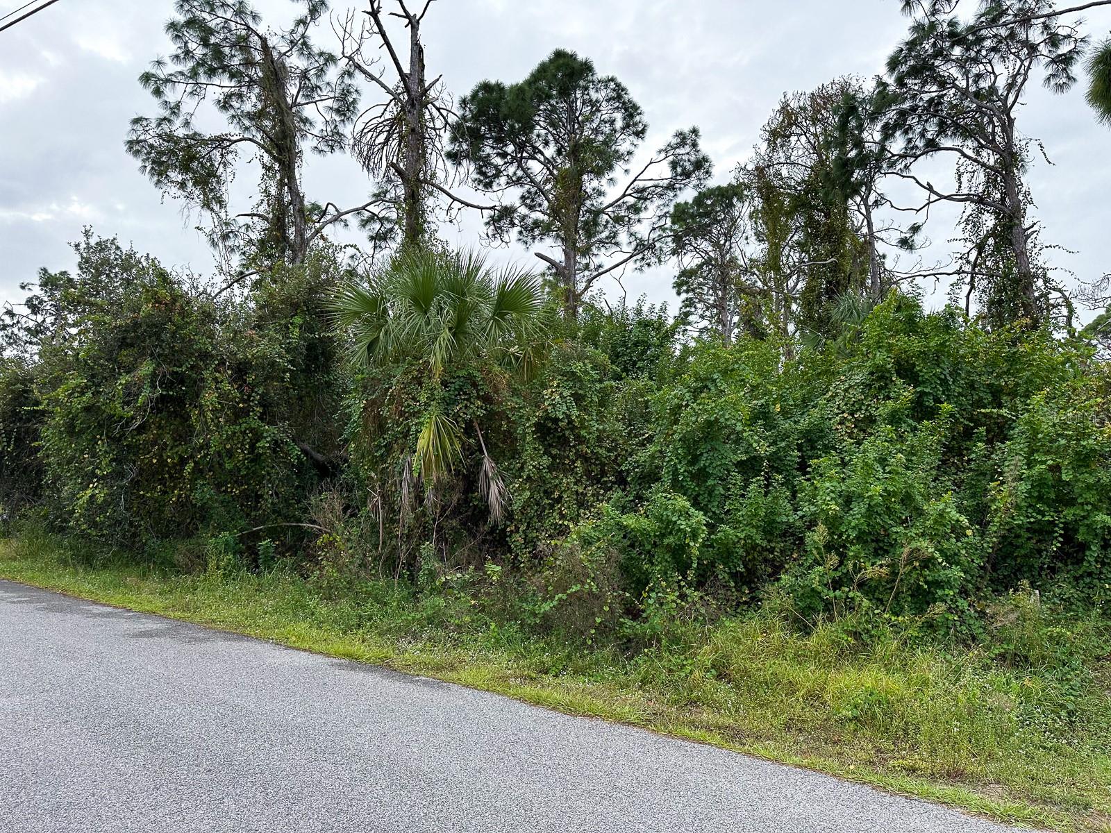 LOT 5 ENSLEY TER