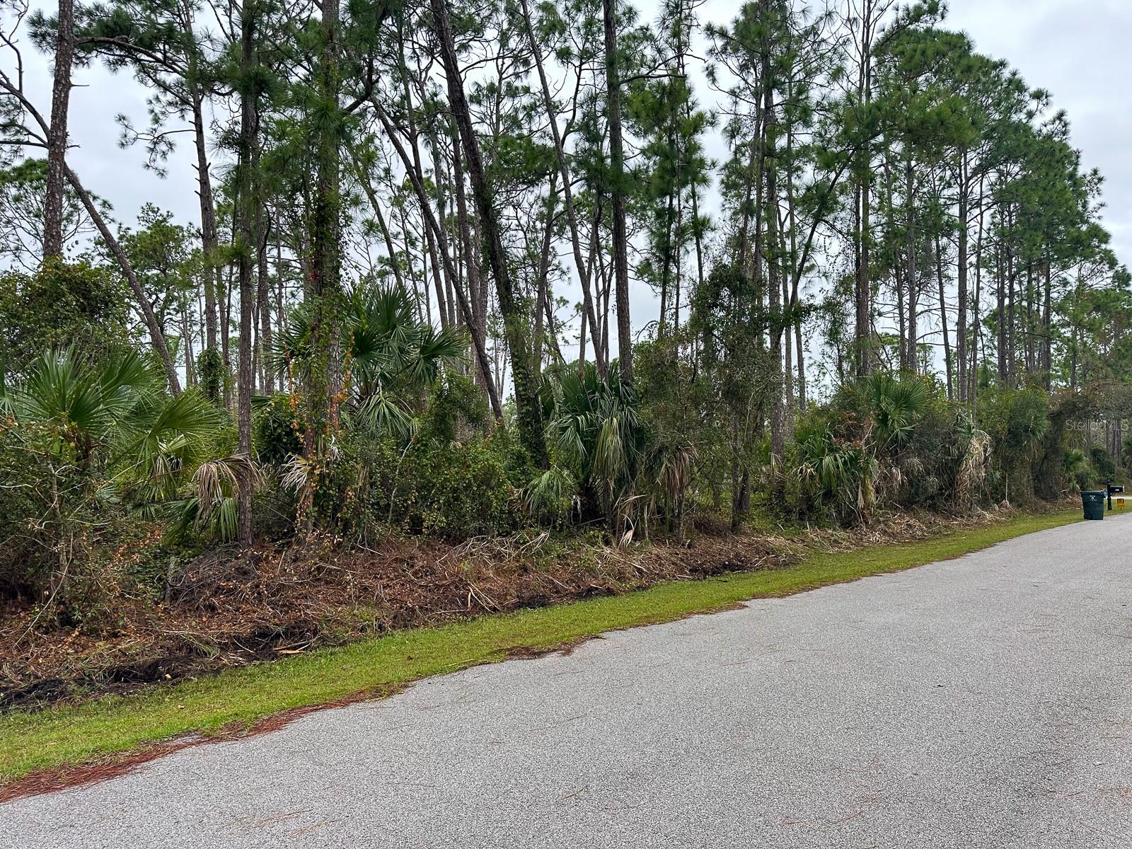 LOT 17 PADGETTE ST