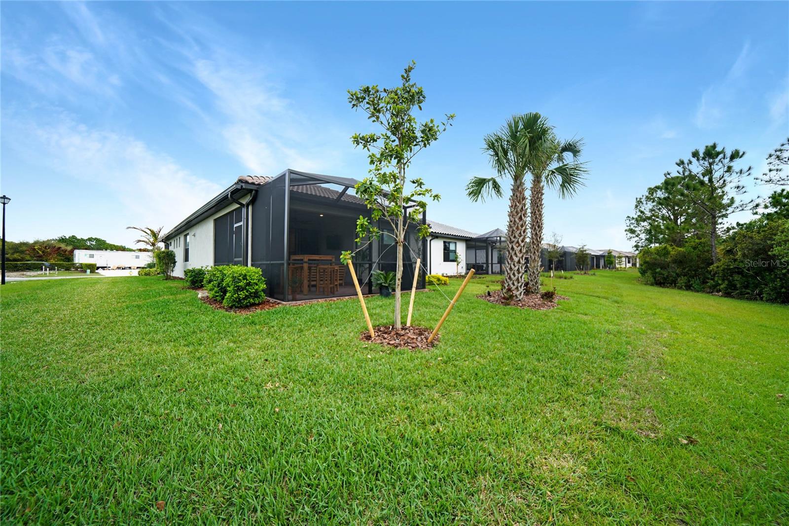 2615 BRASSICA DR