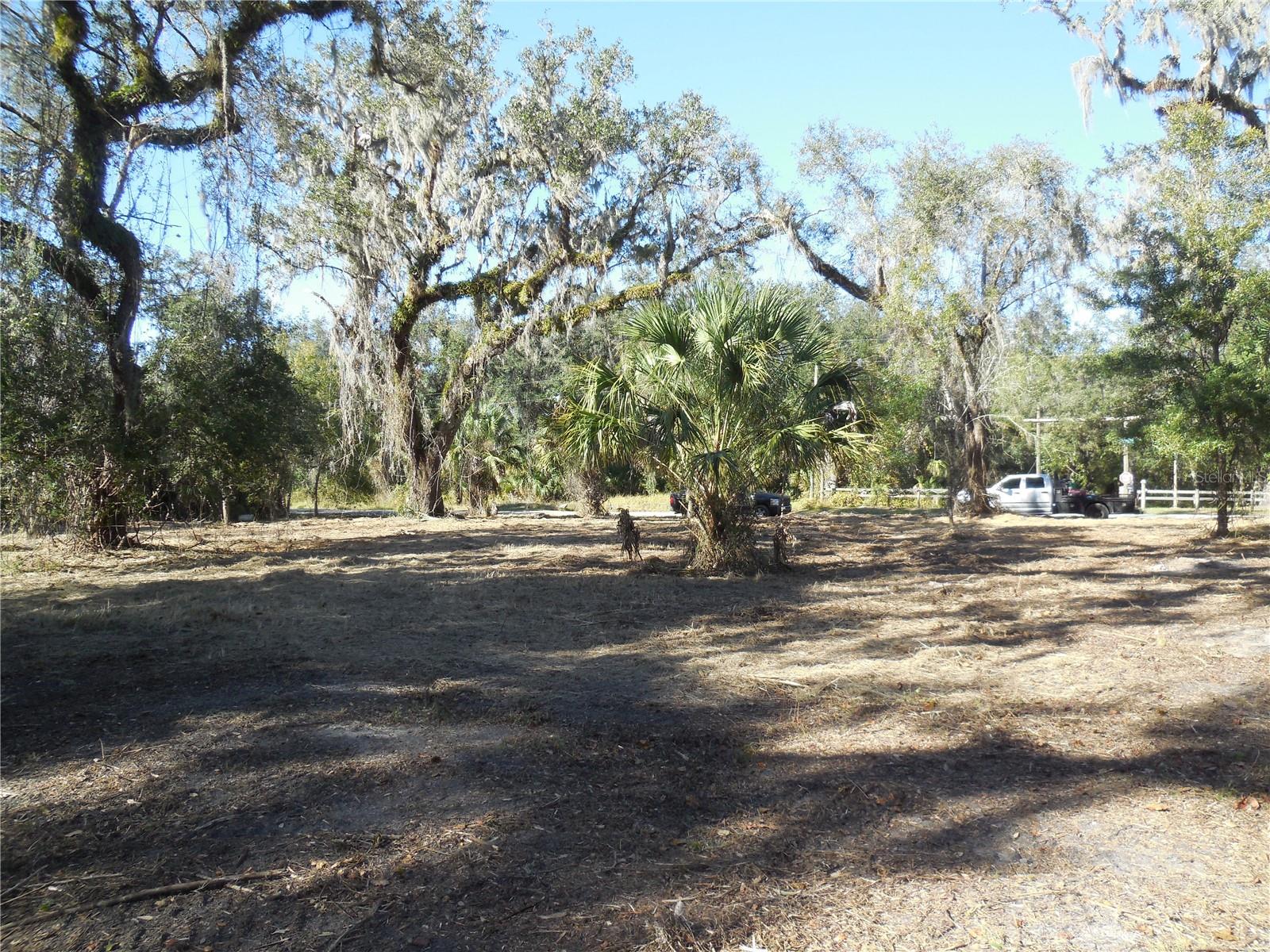 152 TALL OAK TRL