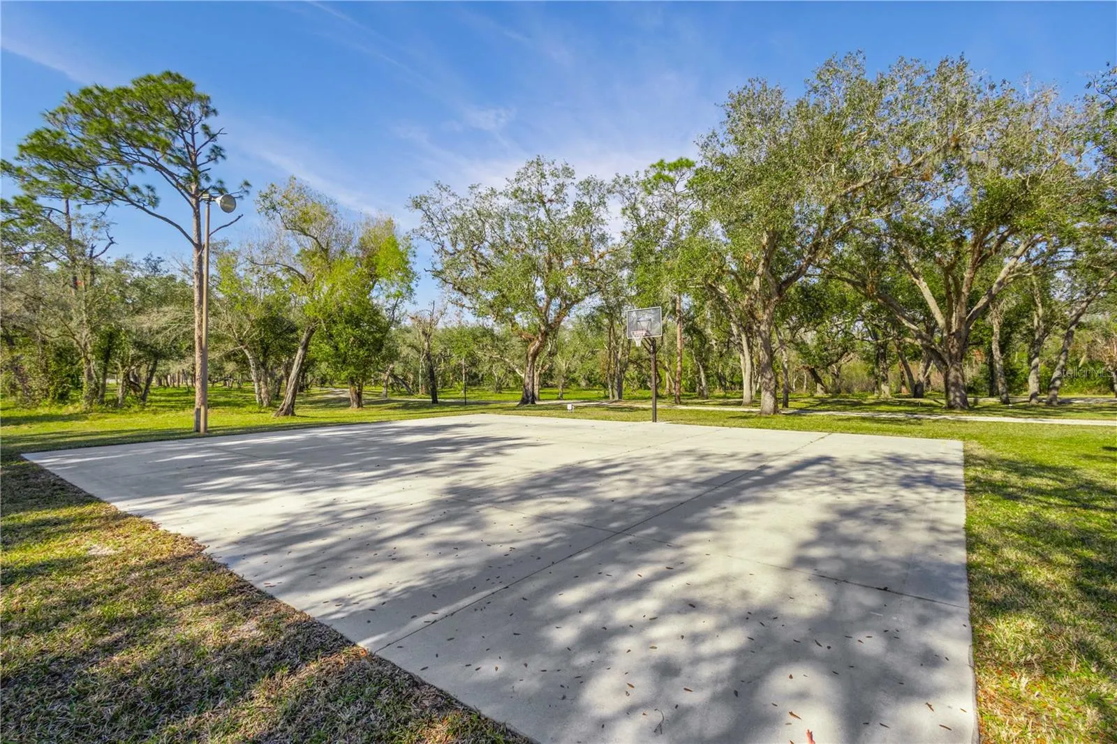 10038 SW COUNTY ROAD 769