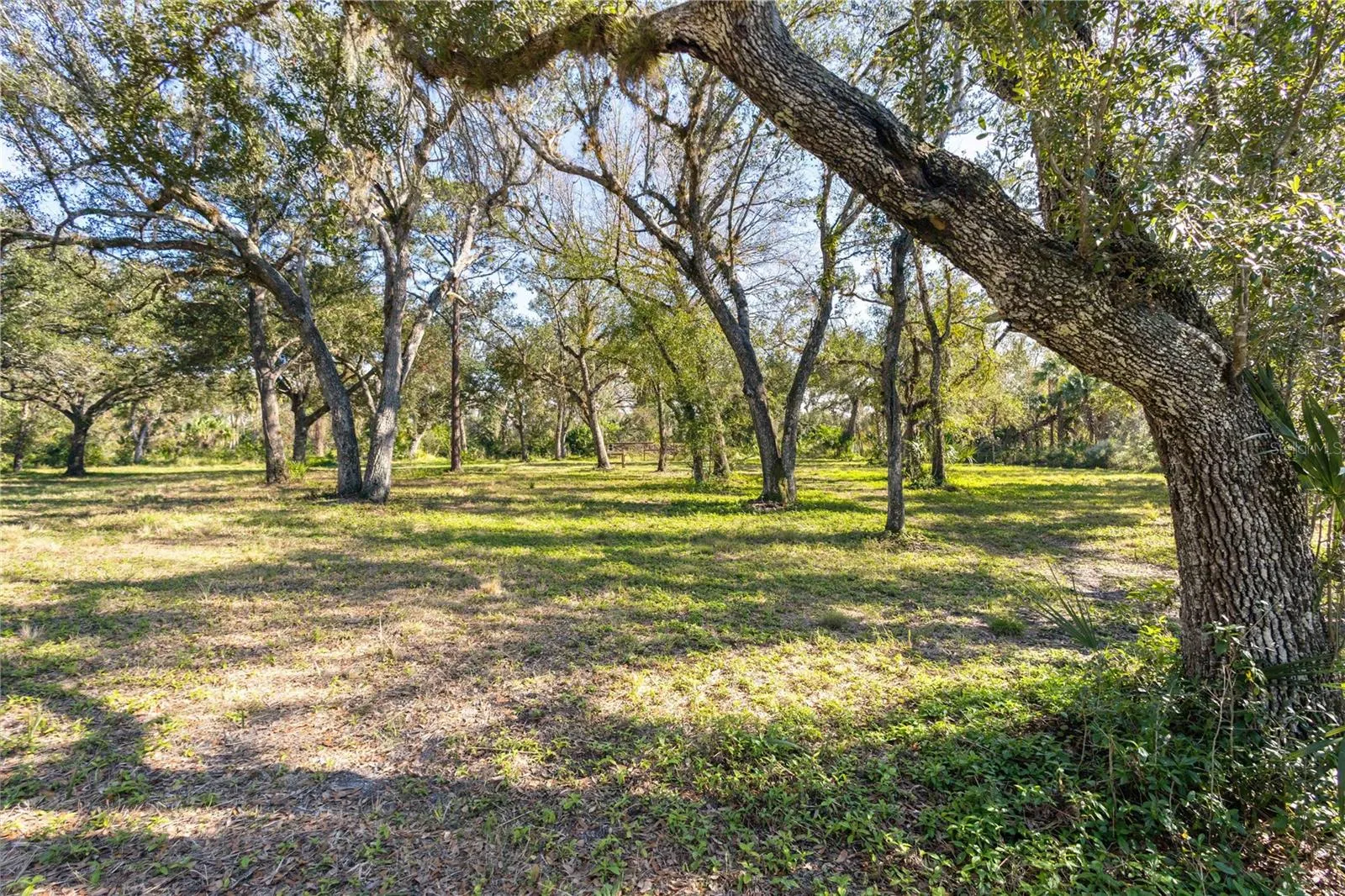 10038 SW COUNTY ROAD 769