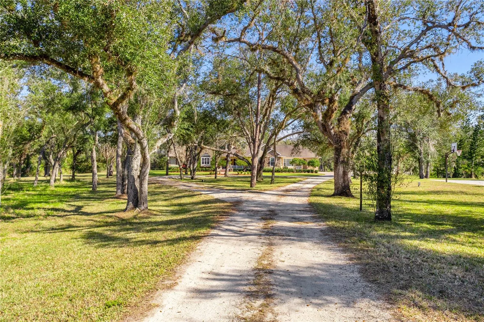 10038 SW COUNTY ROAD 769