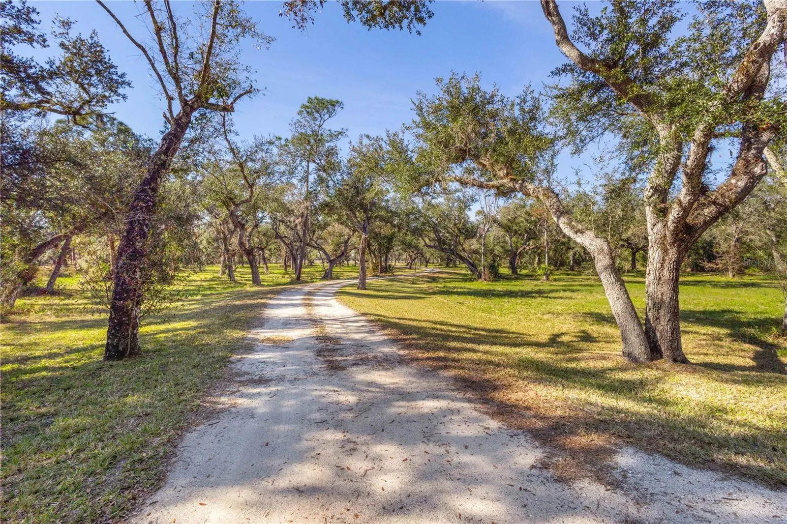 10038 SW COUNTY ROAD 769
