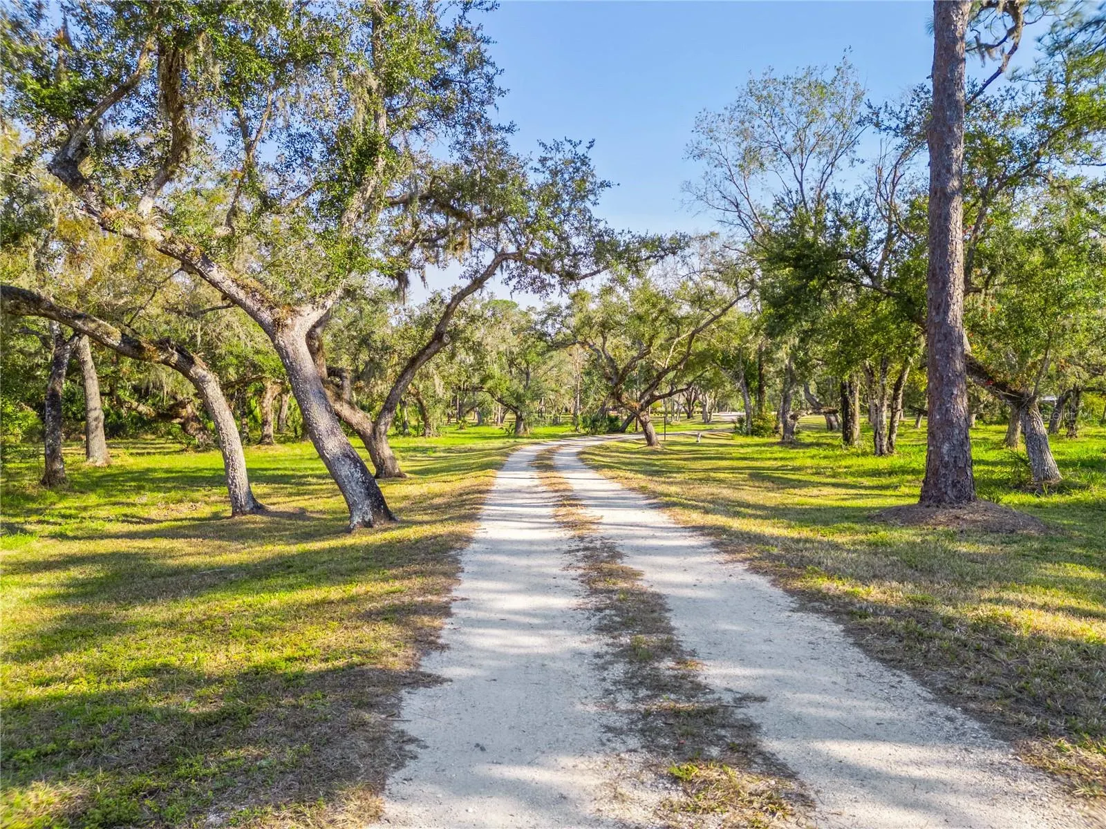 10038 SW COUNTY ROAD 769