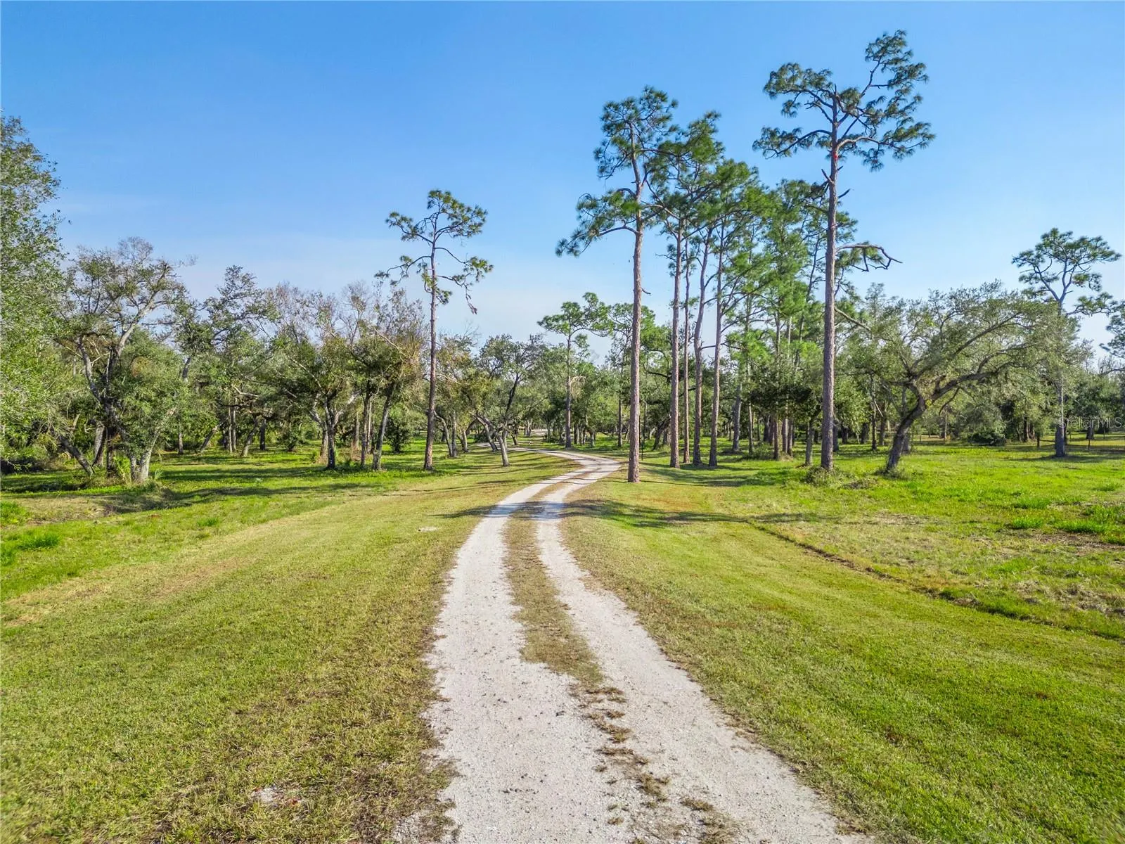 10038 SW COUNTY ROAD 769