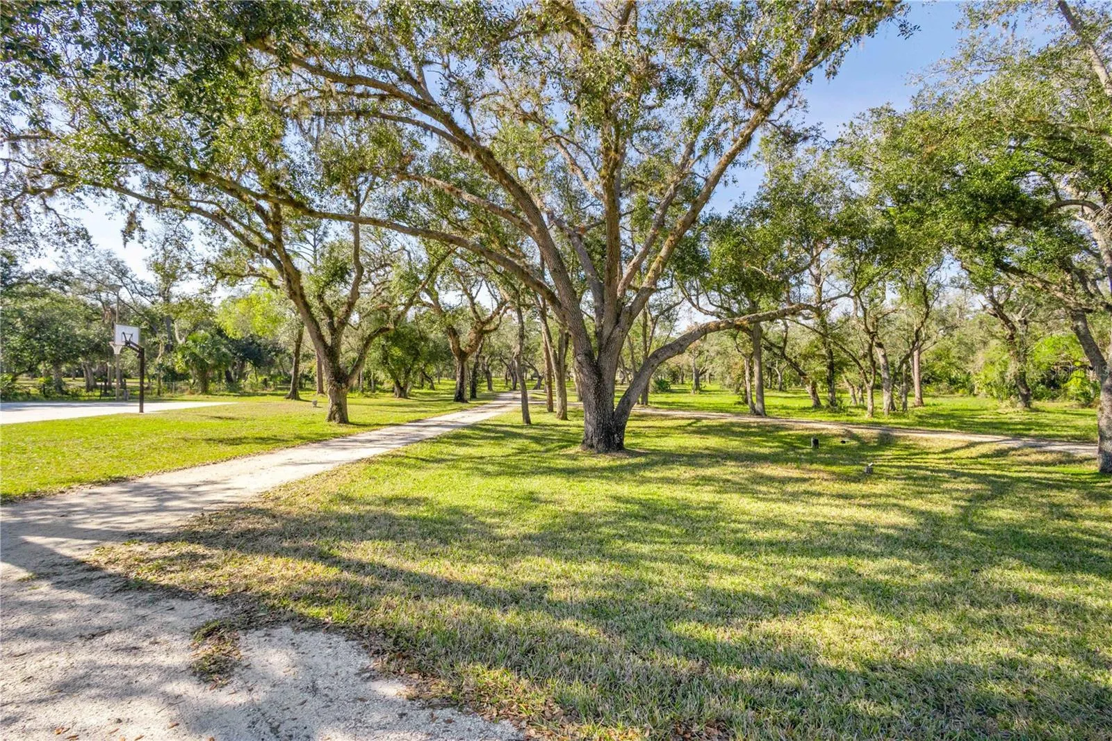 10038 SW COUNTY ROAD 769