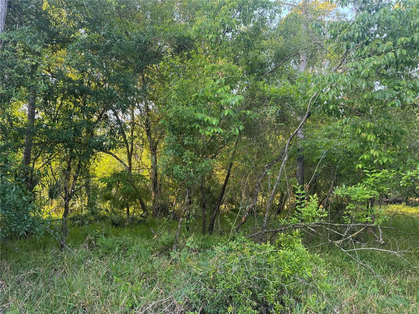 1297 NE RIVER RAFT DR