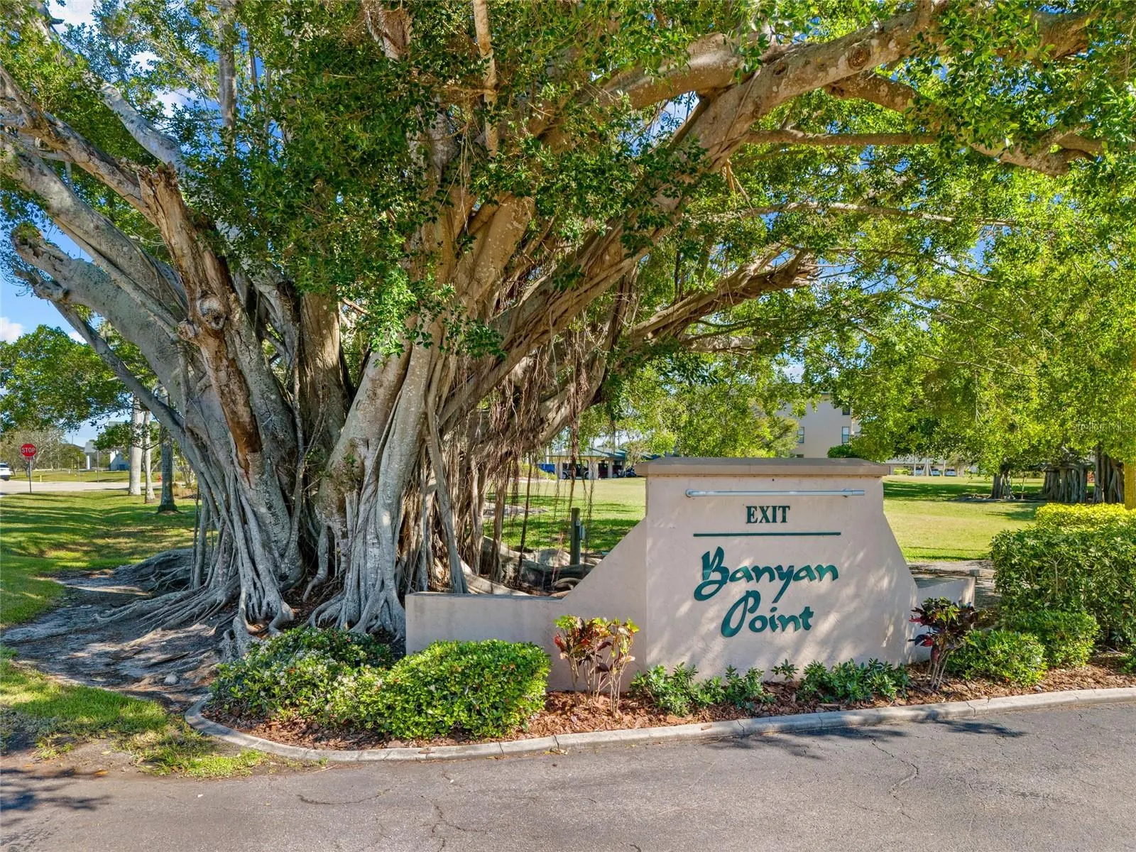 601 SHREVE ST #53C, #53C