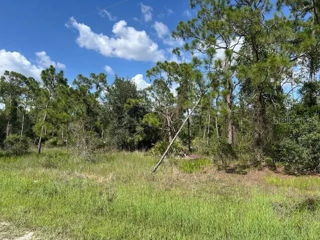 13036 APACHE DR