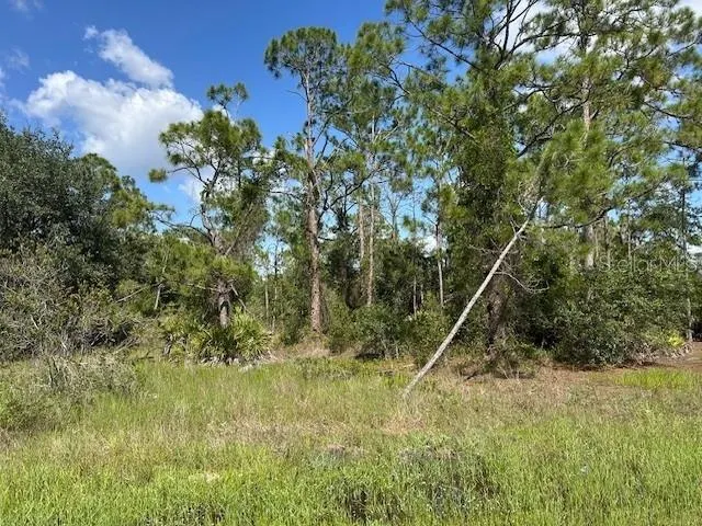 13036 APACHE DR