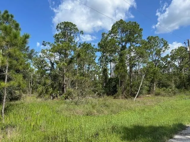 13036 APACHE DR