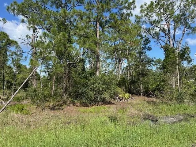 13036 APACHE DR