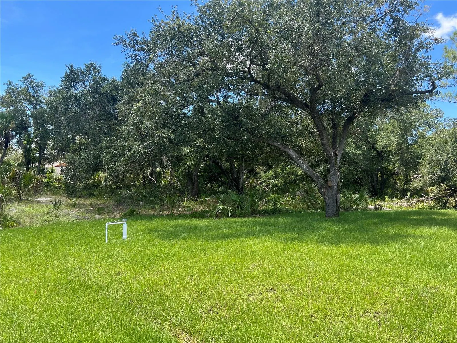 4895 LAS ALMANOS AVE