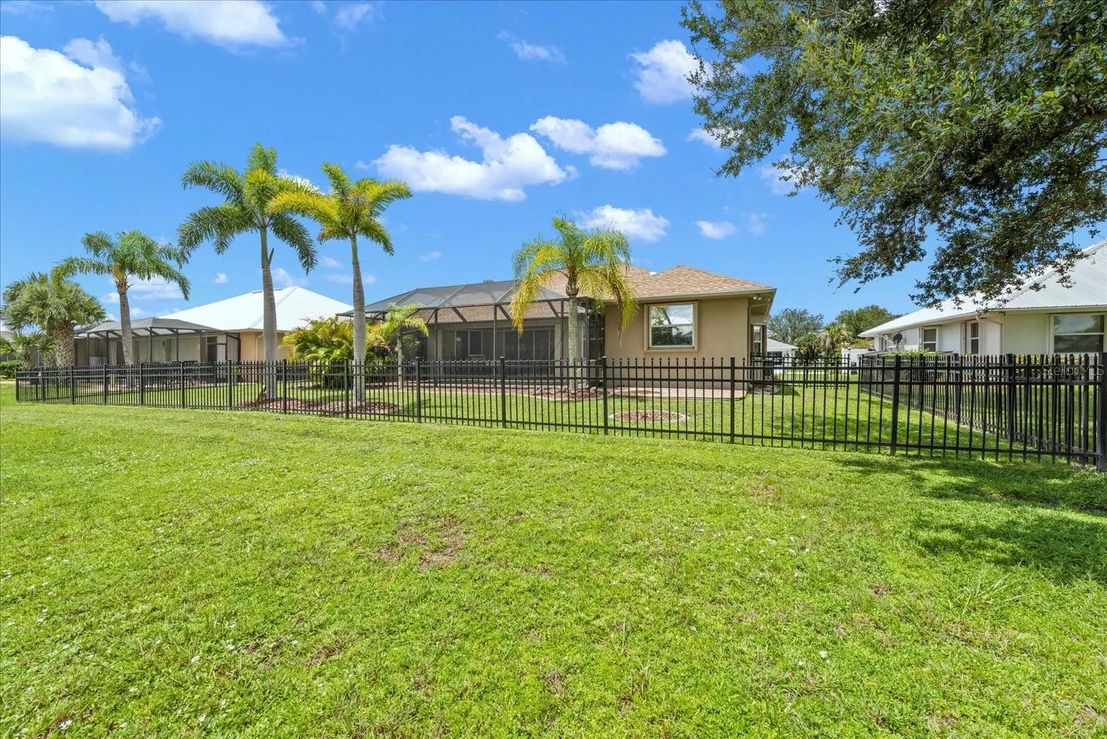 7518 PASPALUM
