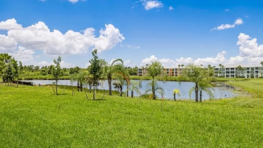 2147 ROYAL TERN CIR
