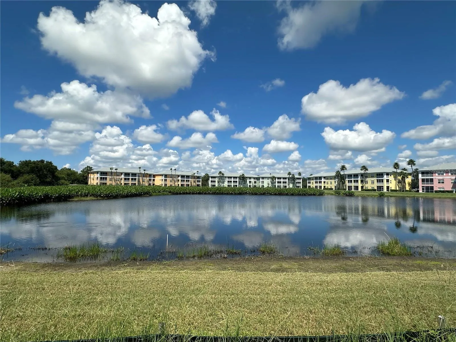2147 ROYAL TERN CIR