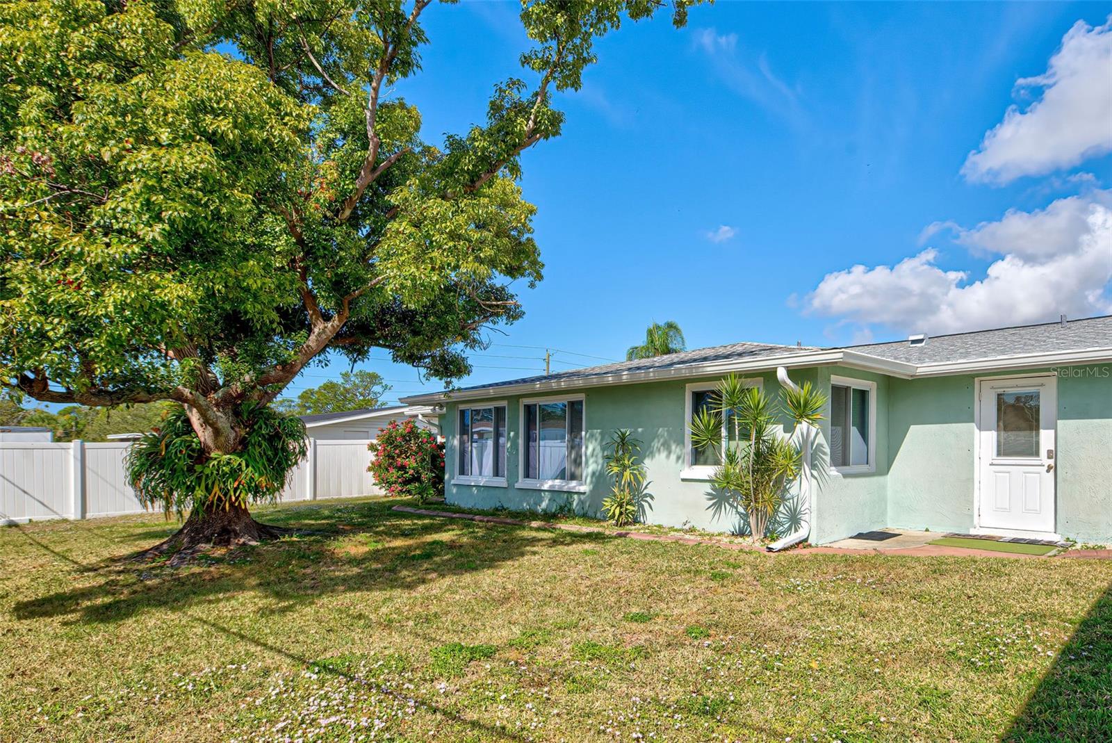 31 YOUNG AVE