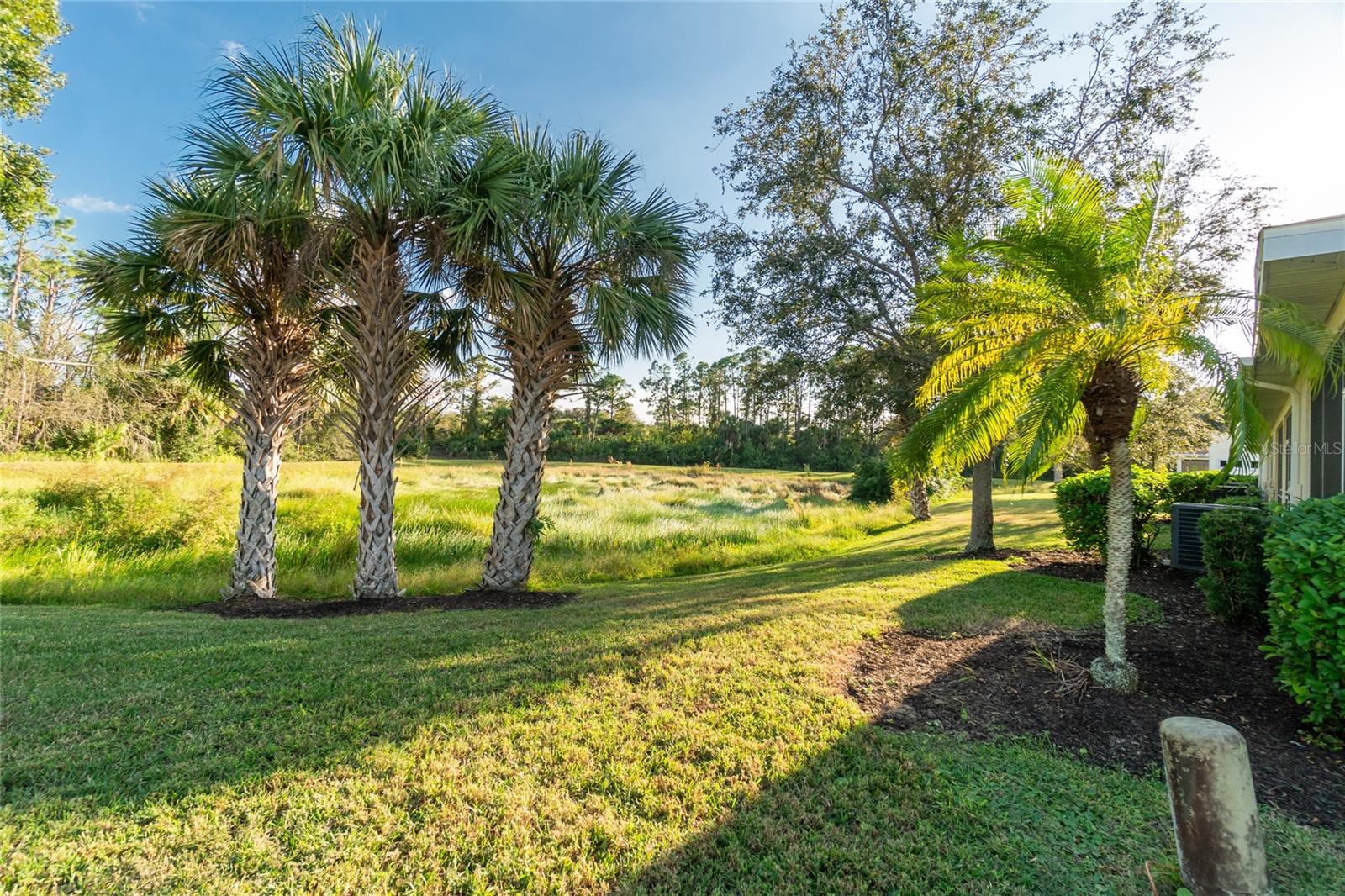 1129 JONAH DR