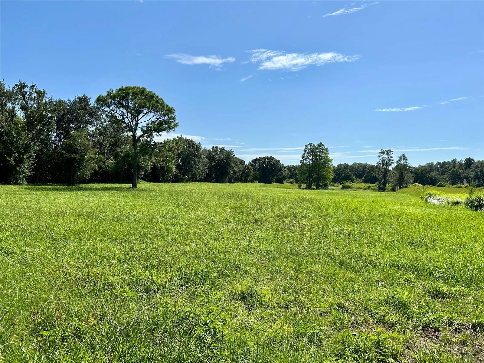 1793 STATE ROAD 64 E