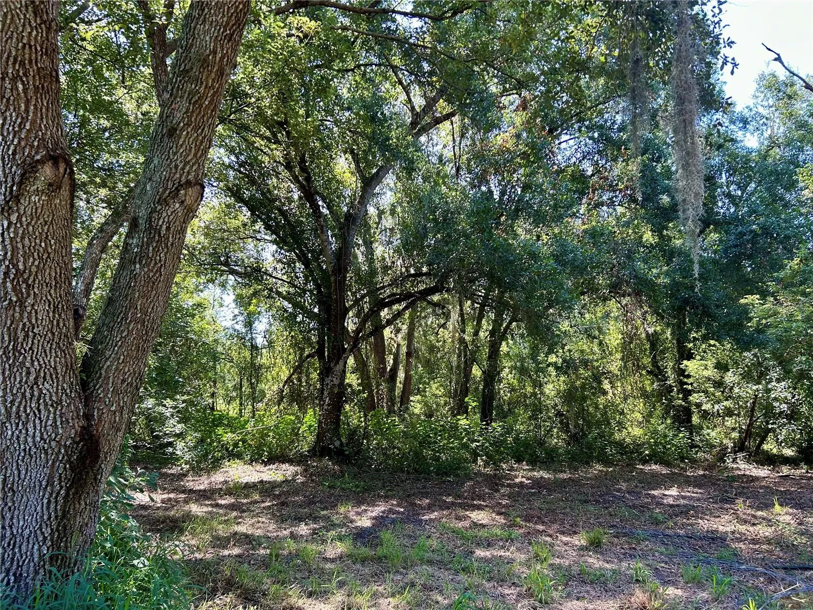 1793 STATE ROAD 64 E