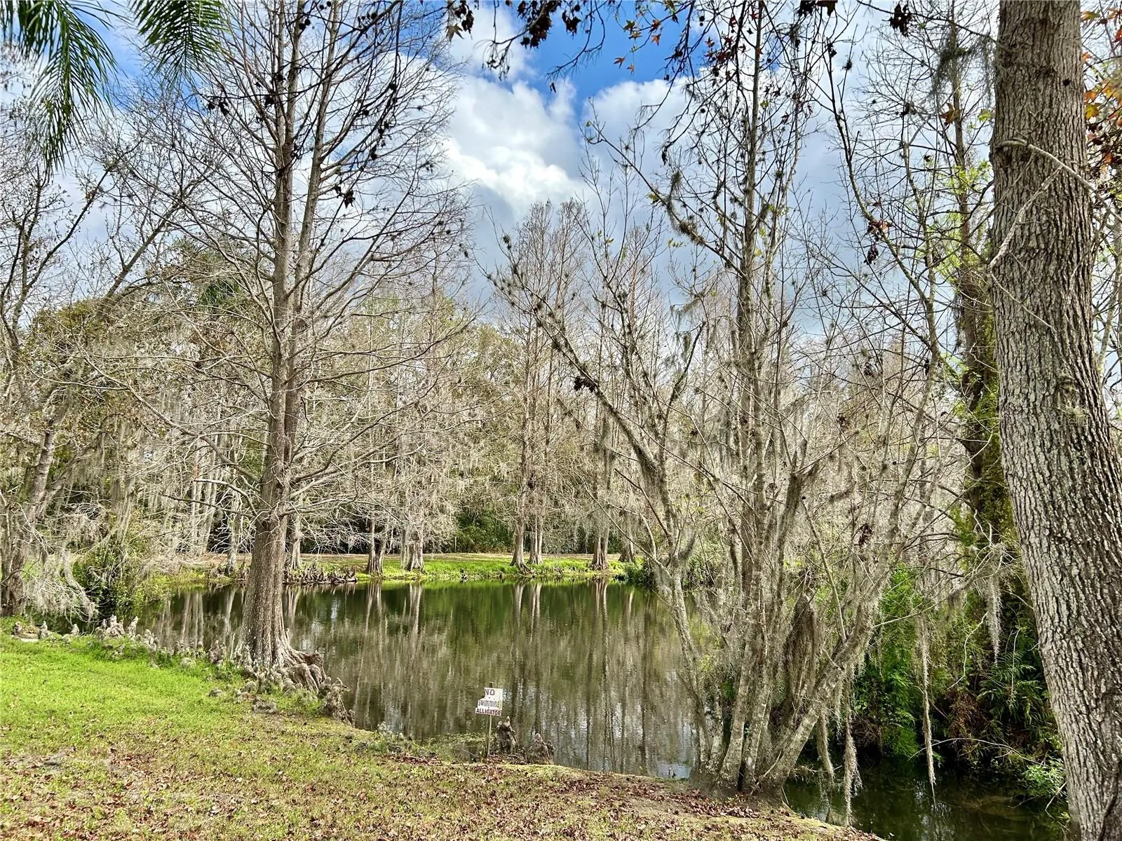 1120 PALMETTO LN
