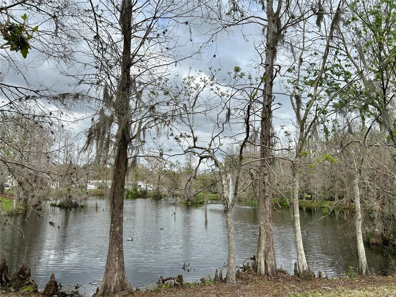 1120 PALMETTO LN