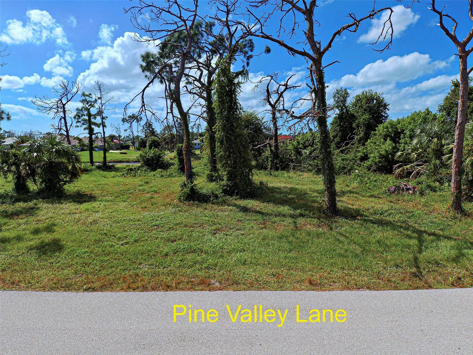 26 PINE VALLEY LN