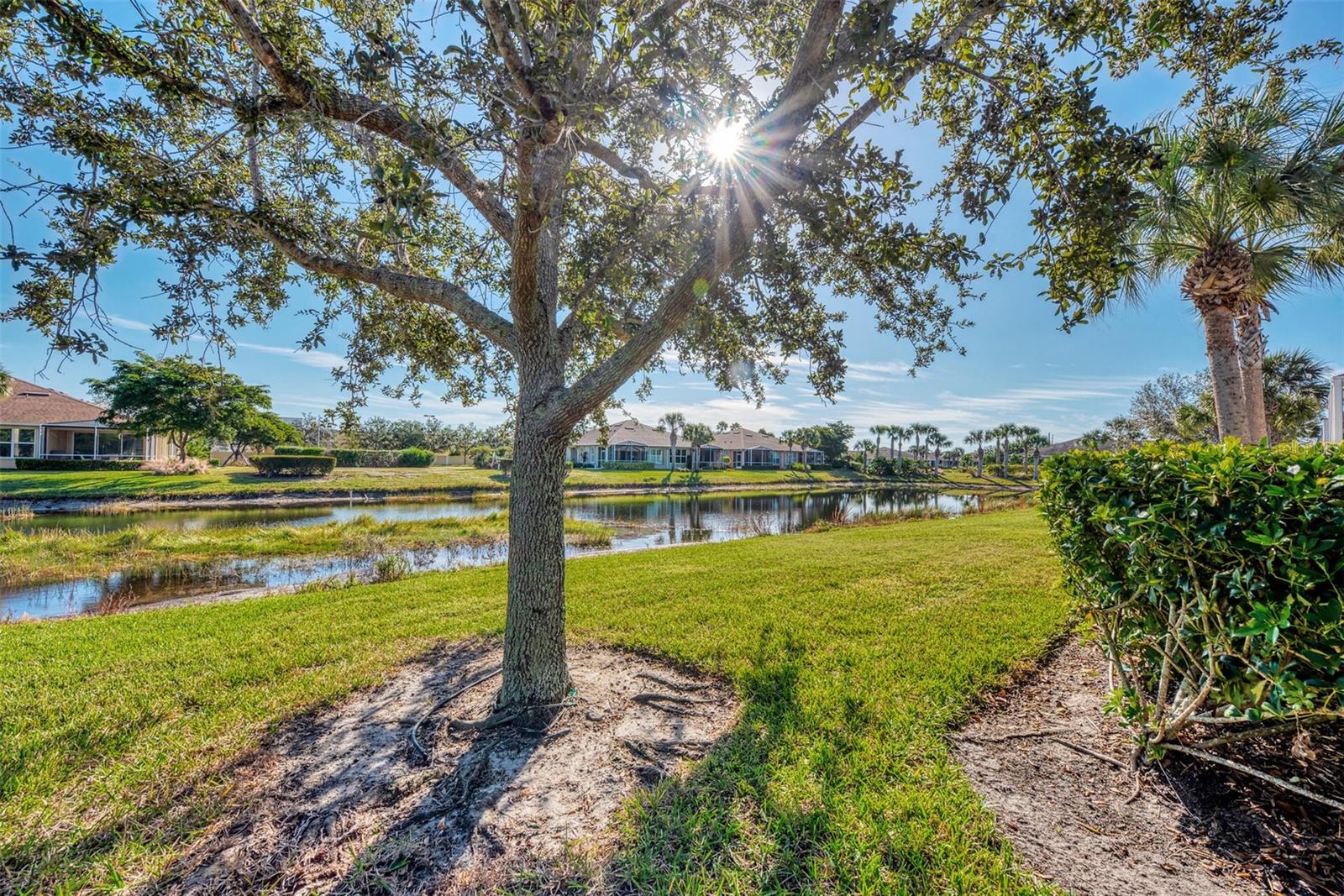 215 FONTANELLE CIR
