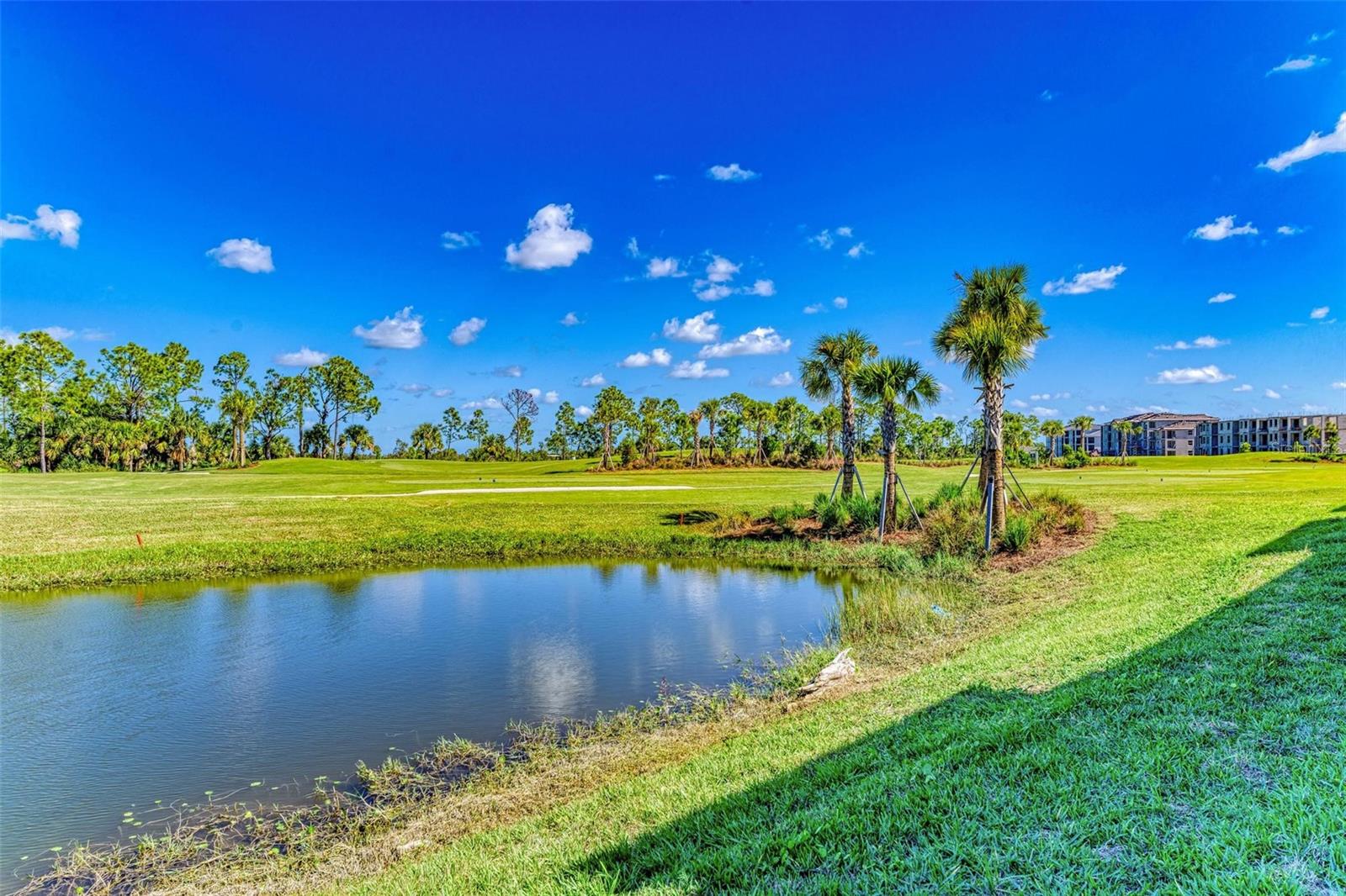12140 WELLEN GOLF ST #201, #201