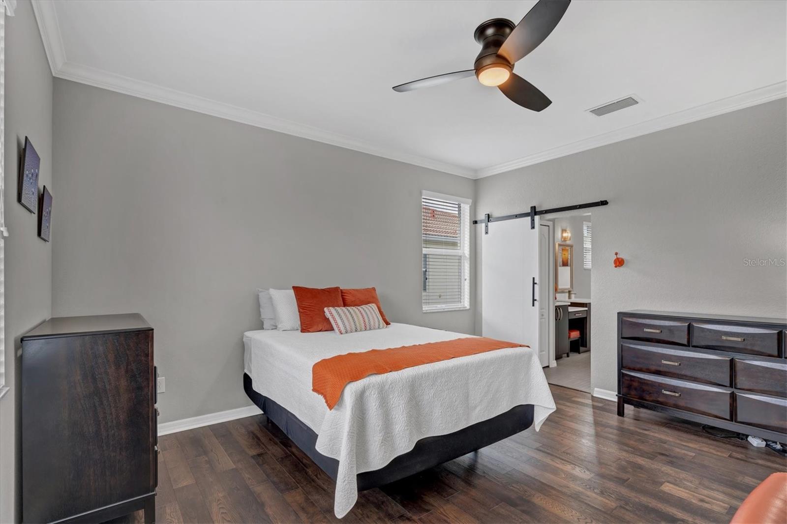 11679 SPOTTED MARGAY AVE
