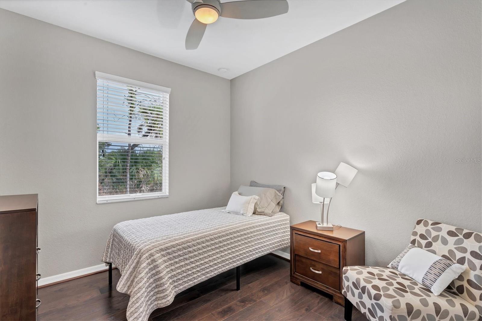 11679 SPOTTED MARGAY AVE