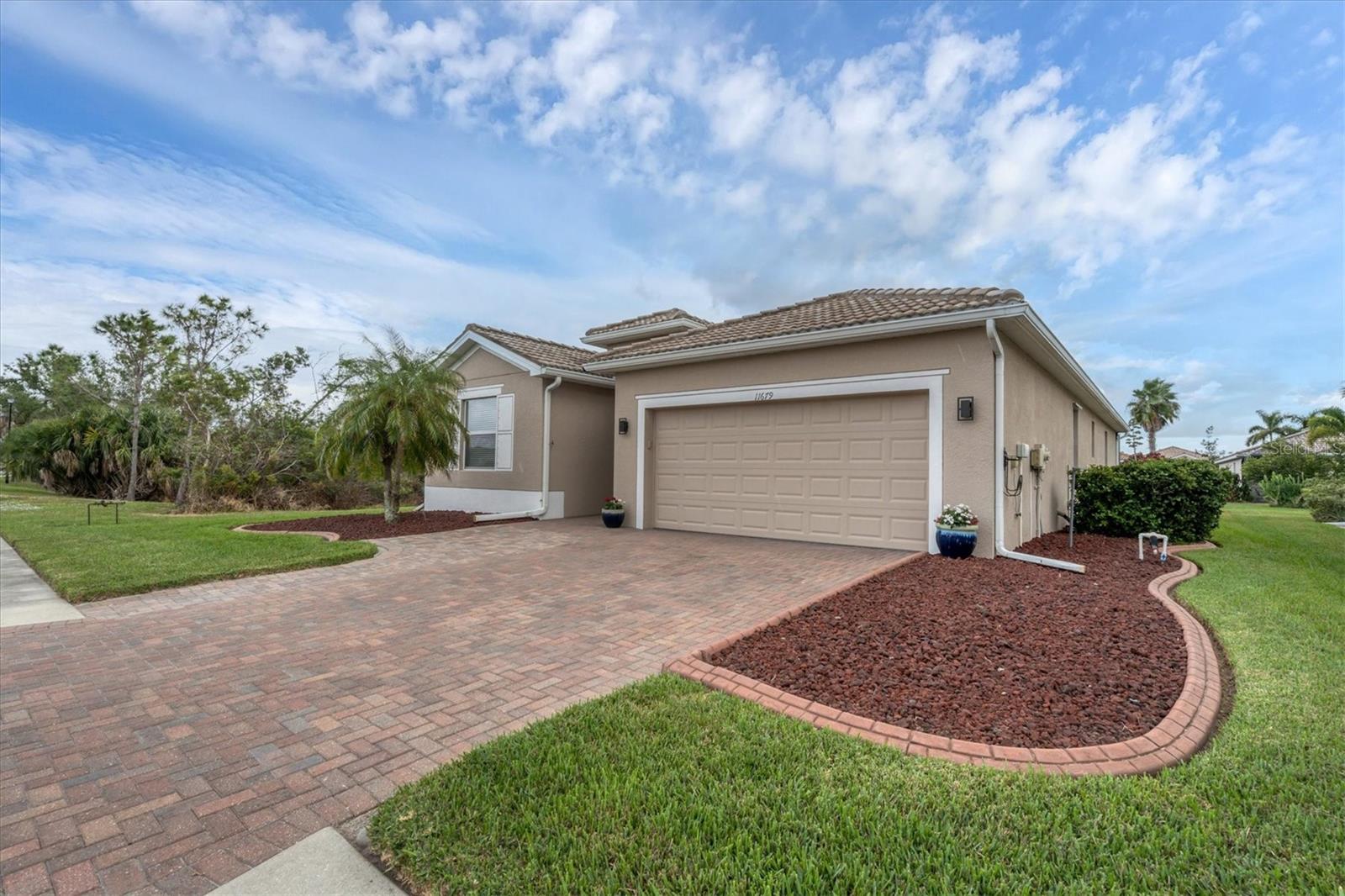 11679 SPOTTED MARGAY AVE