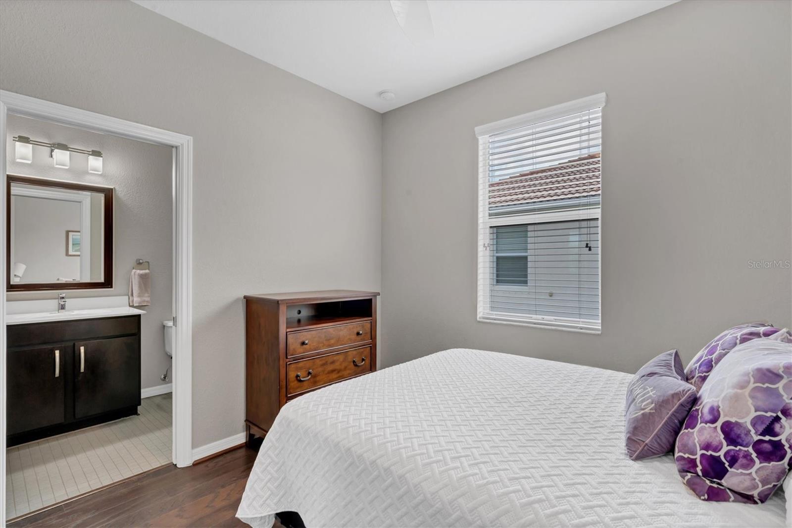 11679 SPOTTED MARGAY AVE