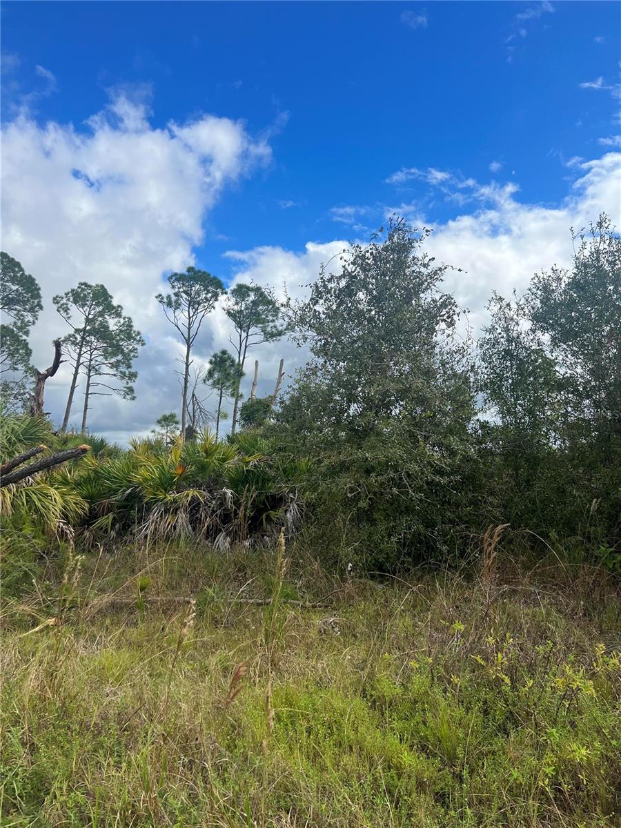 Lot 7 EWEN DR
