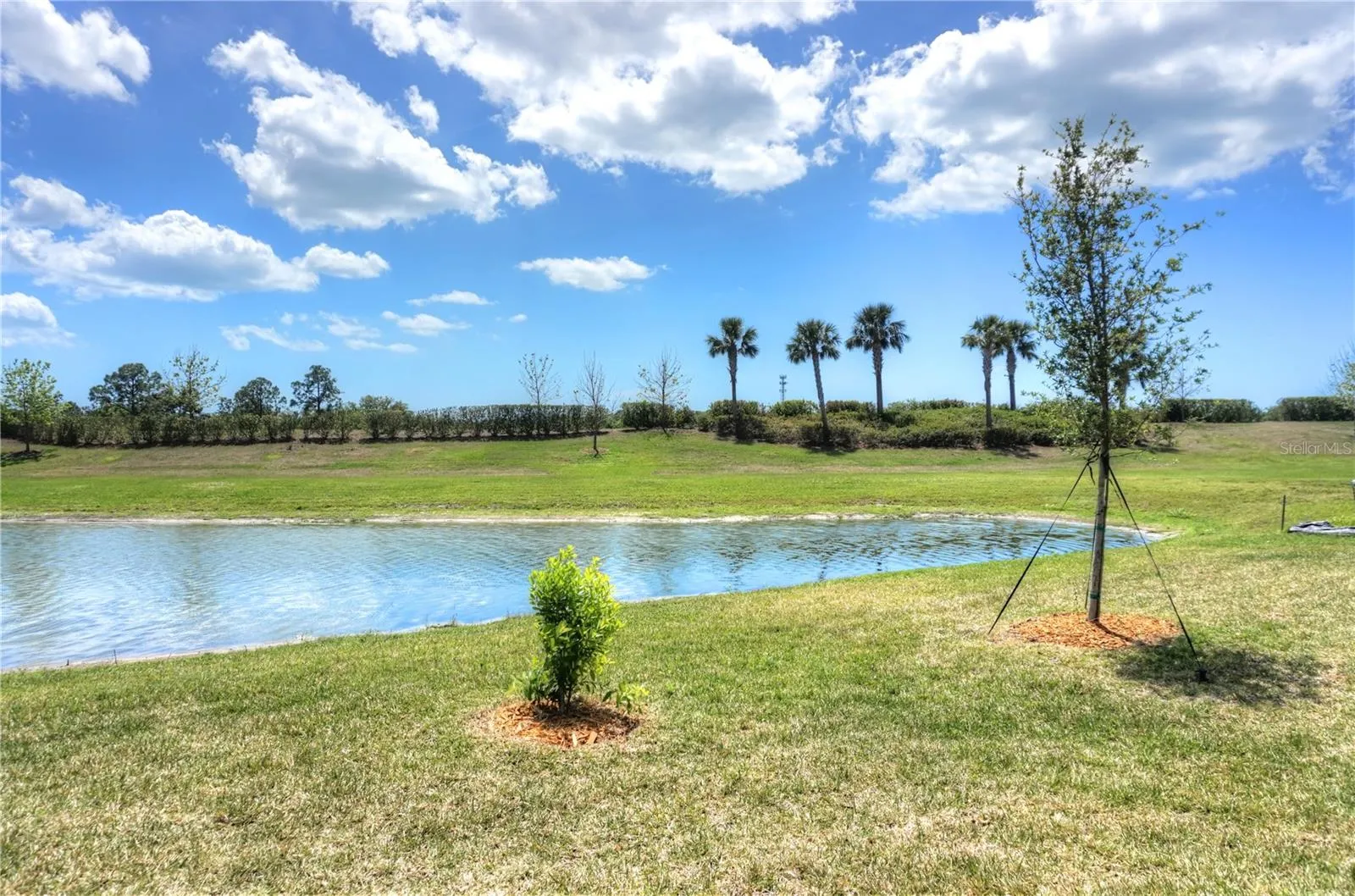 24273 SPARTINA DR