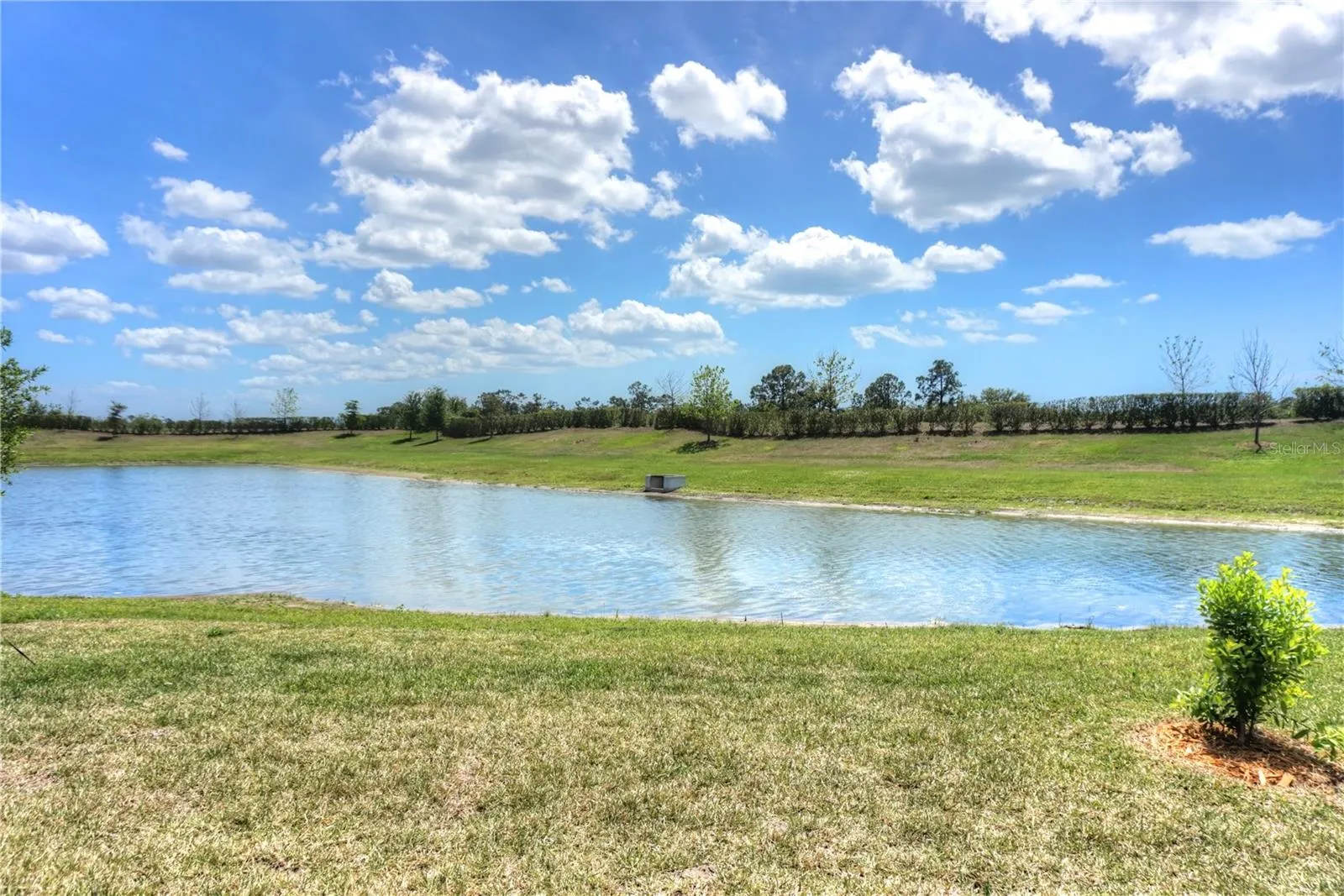 24273 SPARTINA DR