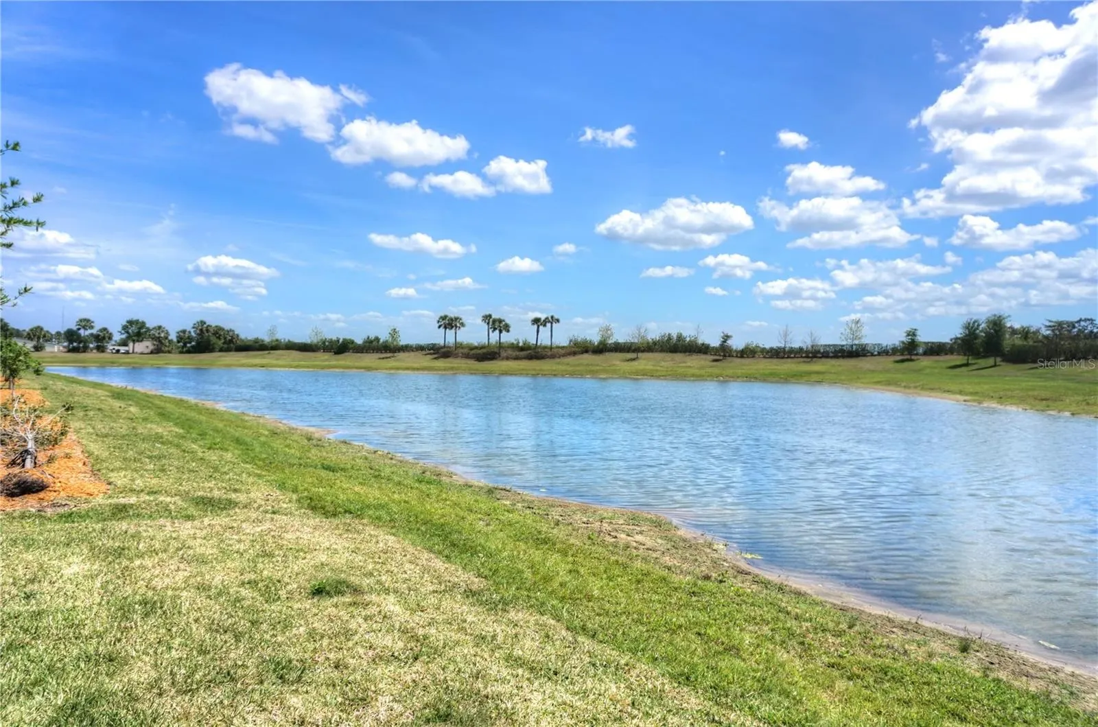 24273 SPARTINA DR