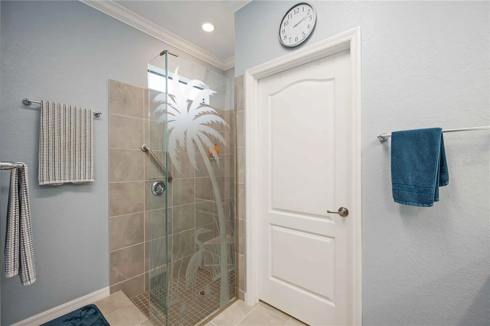 24036 SPARTINA DR