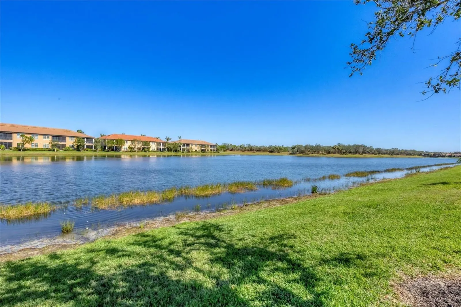 10412 CROOKED CREEK DR