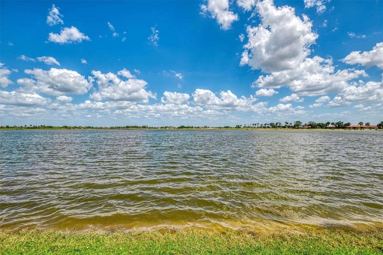 24128 SPARTINA DR