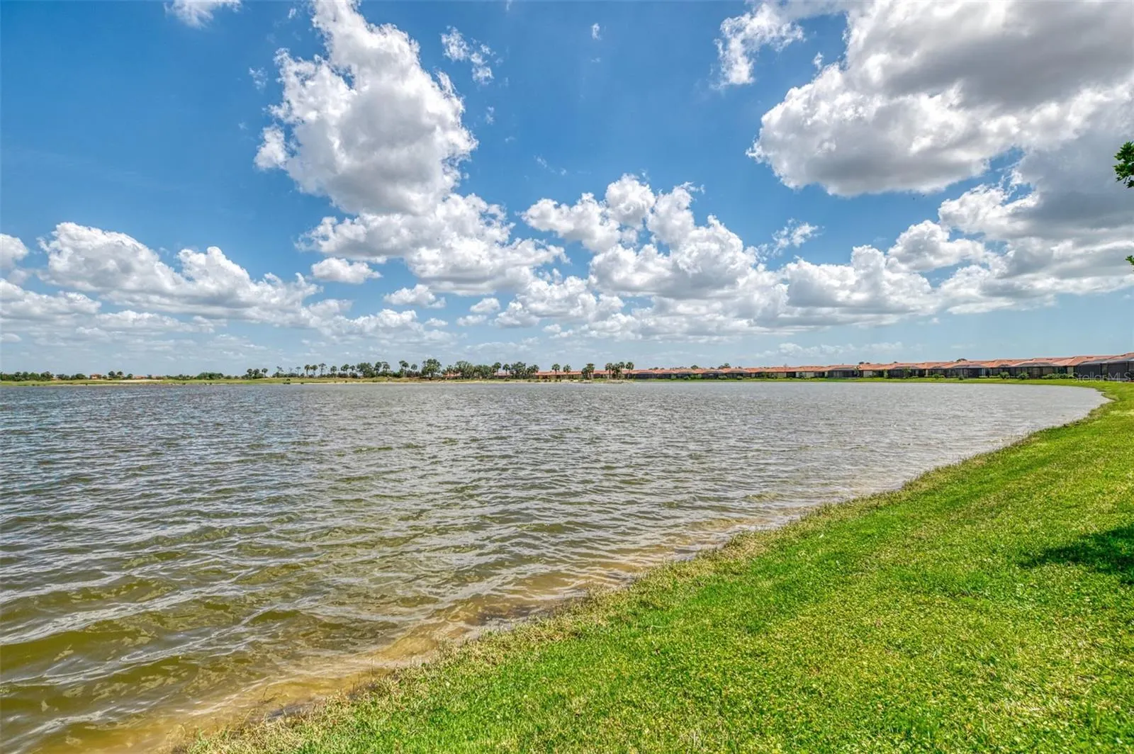 24128 SPARTINA DR