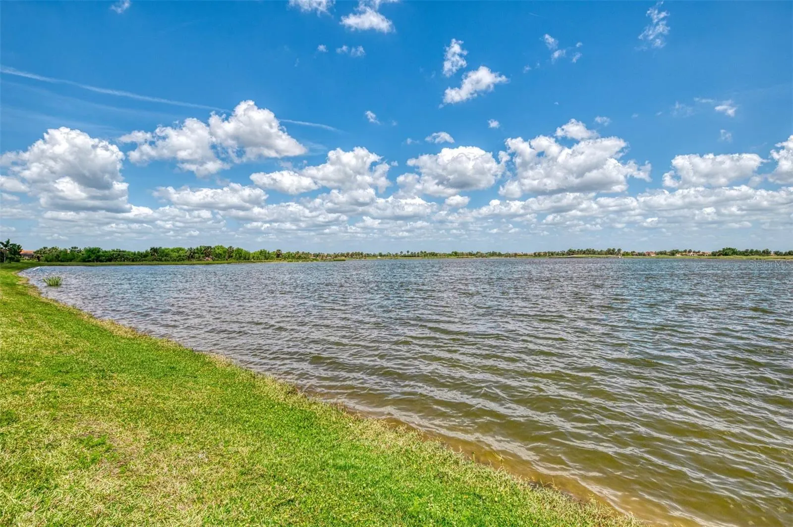 24128 SPARTINA DR