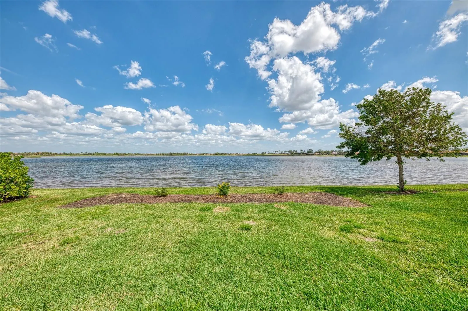 24128 SPARTINA DR
