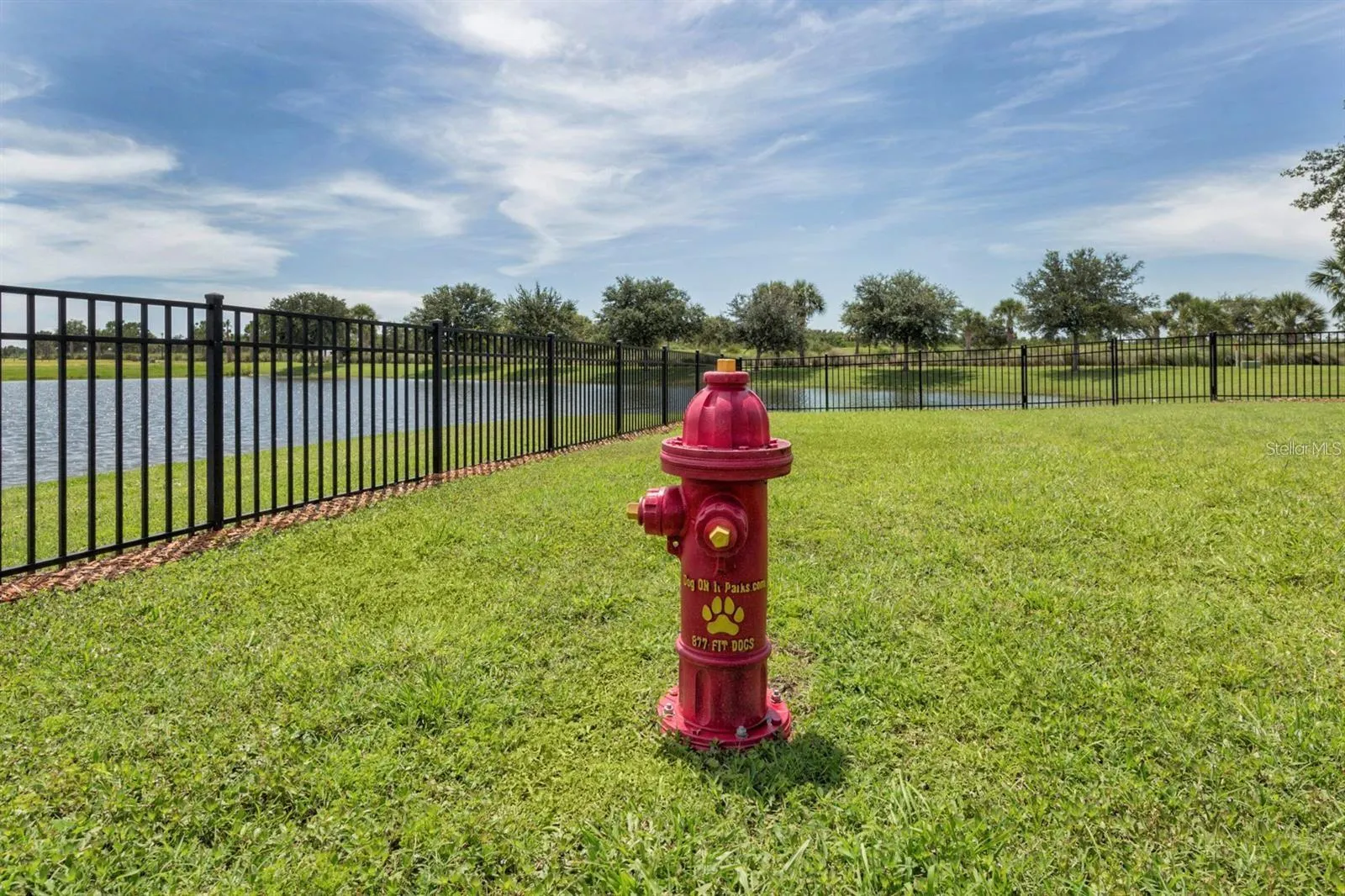 24153 SPARTINA DR