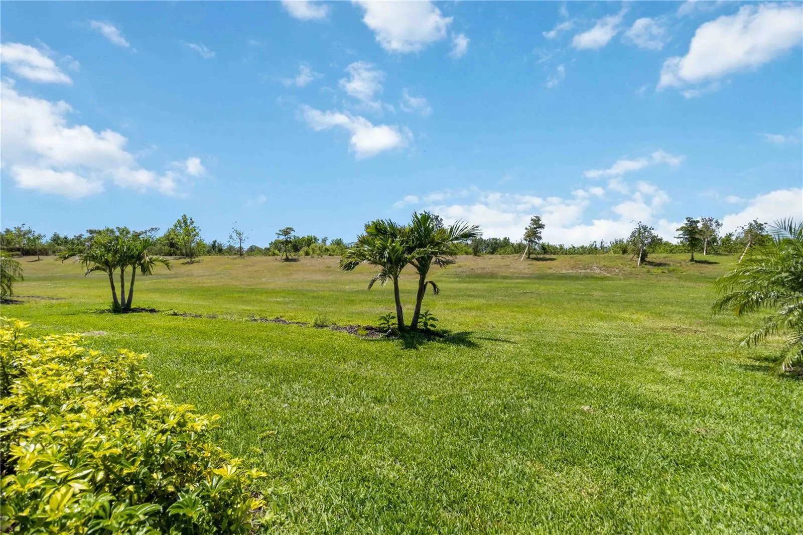 24153 SPARTINA DR