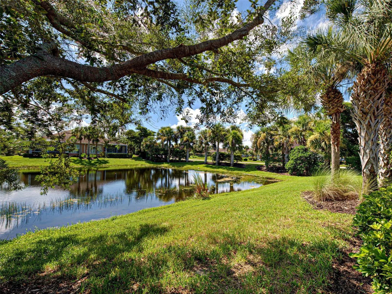 239 FONTANELLE CIR