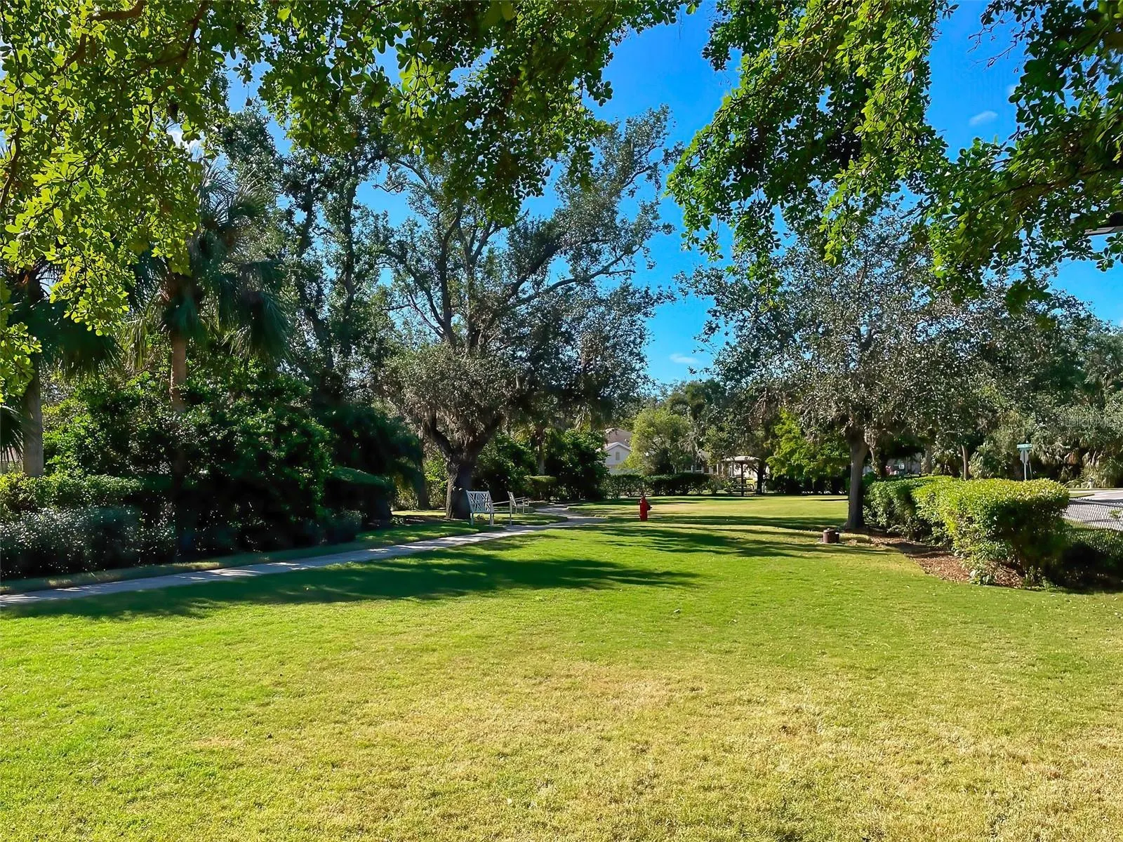 239 FONTANELLE CIR